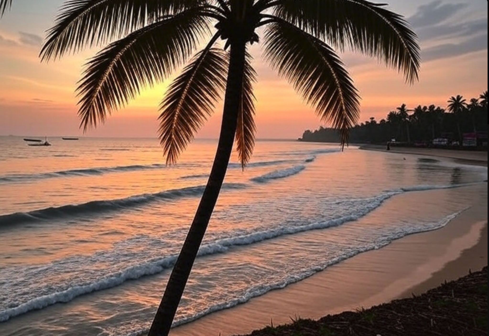 When is the Best Time to Visit Goa -1?