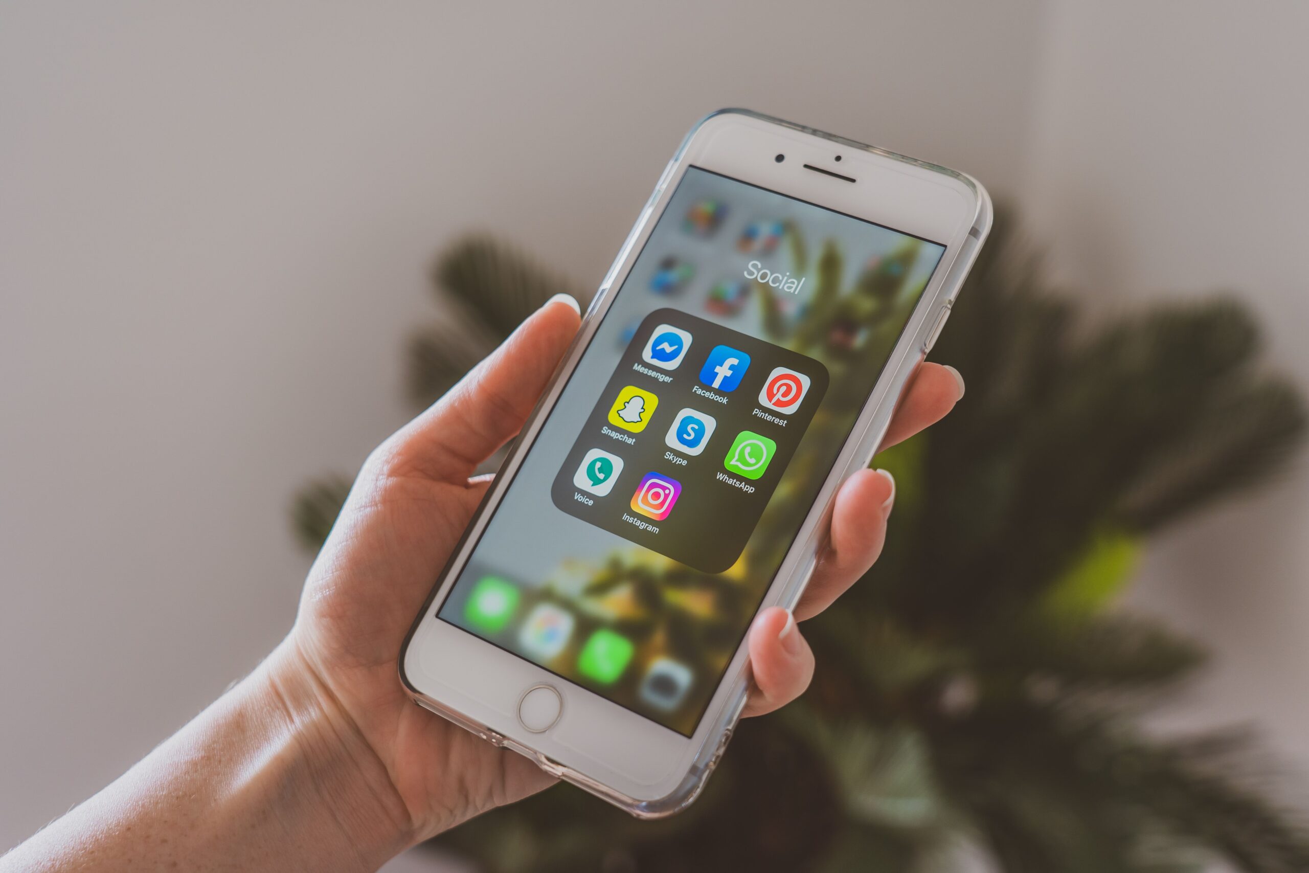 WhatsApp-Chatbot-Development-2